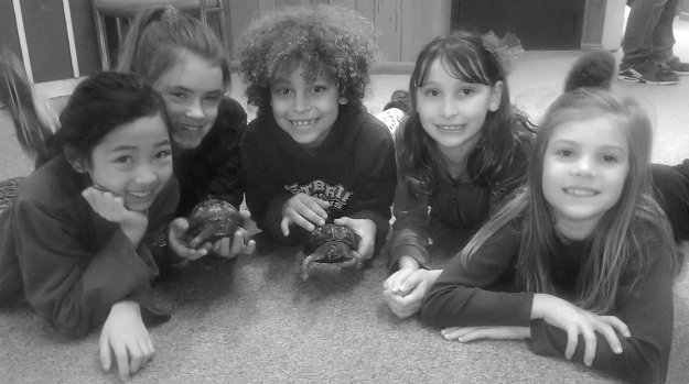 Girl Scouts with Riverbend’s box turtles